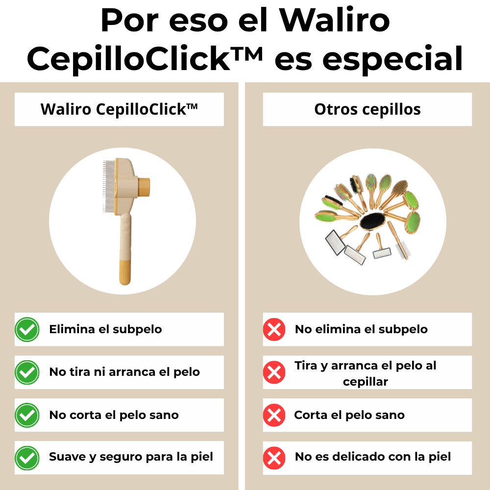 CepilloClick™