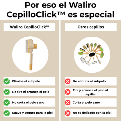 CepilloClick™