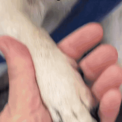 ClipSeguro™ – Corta las uñas sin riesgo ni estrés